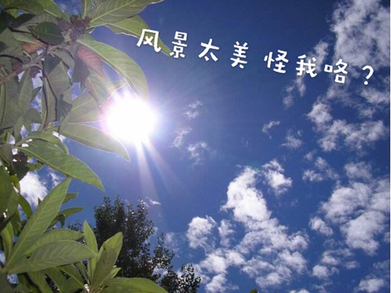开车还打望结果遭重创
