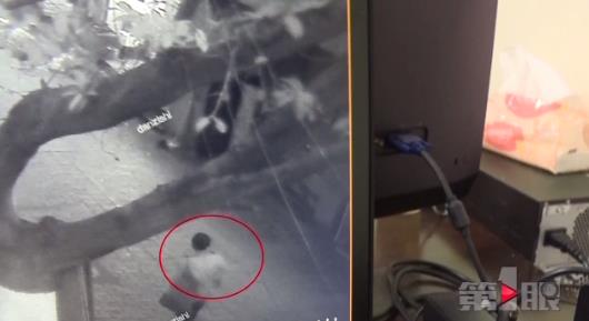 辞职员工潜回工地 盗6万电线变卖1000元