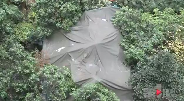 小区没有老年活动场所 老人们竟自搭自建