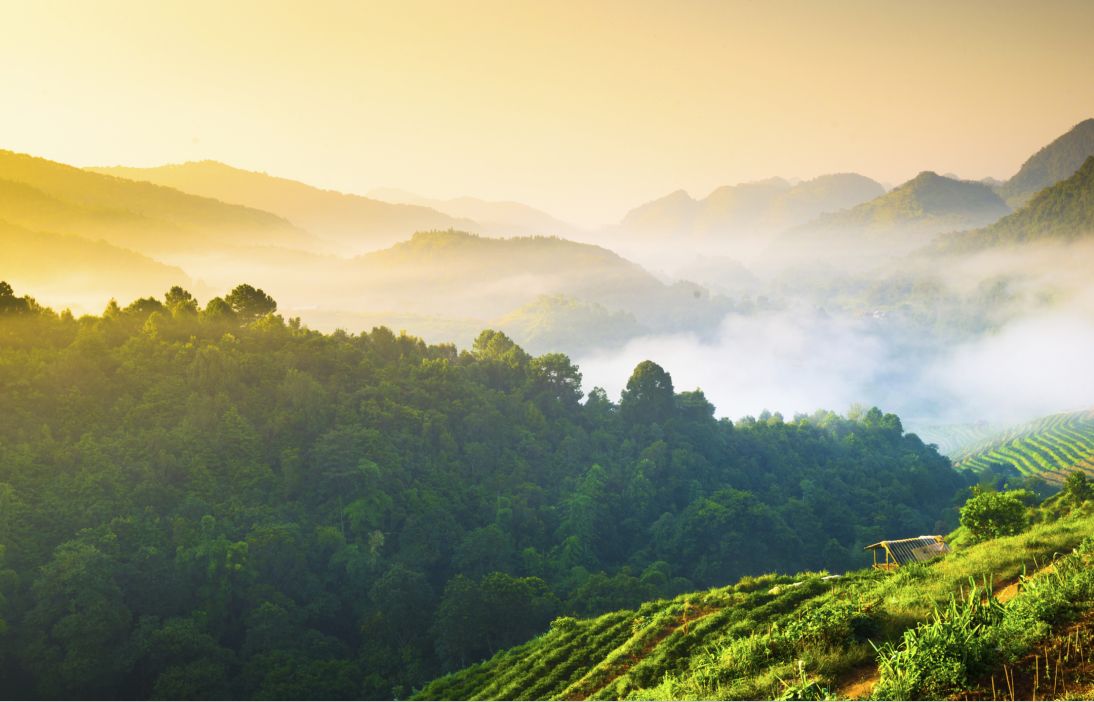 上山去耍方便了！重庆首个滴滴车站落户南山
