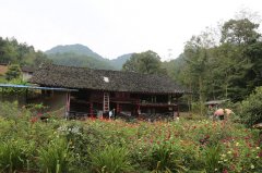 重庆七旬老太玩雕塑，深山里办博物馆