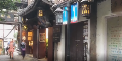 阿拉斯加犬景区窗台打望   游客：好担心它掉下来