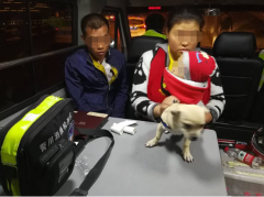 自认酒量“千杯不醉” 醉酒后载上“全家”上路