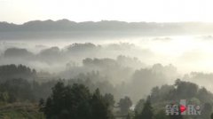 茶山绕云雾 清晨美如诗