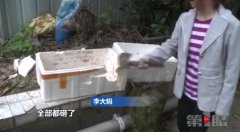 大妈举起铁锤就是一阵砸 还主动要求评理