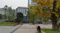 今晚将迎强降雨  未来三天最高气温下跌12℃