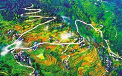 蜿蜒公路盘山而上 仿若巨龙腾飞