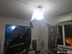 家里突现上百只马蜂  民警果断处置消隐患