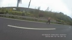 七旬老人酒后上高速 原是走亲戚迷了路