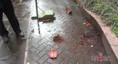 如此“送” 花盆 着实太危险