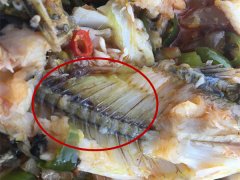 黄蜡丁煮熟后变色   还有股异味