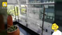 气温坐过山车？图书馆玻璃炸了