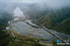 航拍重庆生态莼菜田点缀美丽乡村建设