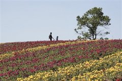 多地昨“破3”  今起雨又来