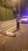 男子聚餐时饮酒过量  醉卧主干道