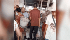 太潮！老人扎着丸子头踩着平行车逛农贸市场