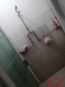 光看也打冷颤！宿舍用来洗澡的喷头出现水蛭