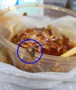  中午点的外卖吃出一条虫  食客觉得恶心要求商家赔偿