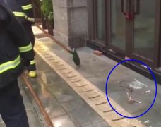火锅店外来了“不速之客”  身长1米5左右还有毒