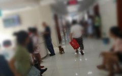 彩超室外狗狗不停狂吠 吓得孕妇连忙躲闪