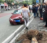 <b>女司机开宝马未拉好手刹 车子撞断大树车头破损</b>