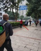 大妈撑数米长杆子打白果 满地都是掉落的树叶
