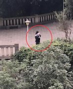 一男一女公园内当众搂抱 举止亲昵引人尴尬
