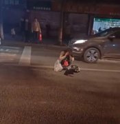爱犬横穿公路被撞后司机逃逸 女孩蹲在路中间痛哭
