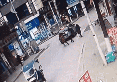 女子“鬼探头”式奔跑过马路 遭摩托车撞倒在地