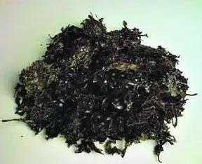 重庆现塑料粉丝？假的