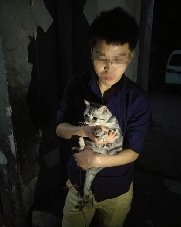 小伙把女朋友的猫弄丢了  捡到者答应归还“挽救一段爱情”