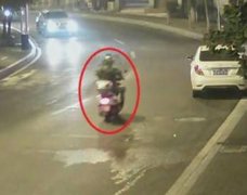 花卉盆栽造型独特 重庆一男子趁没人盗走它