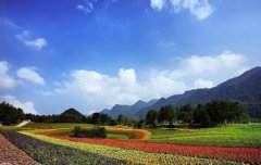 重庆这些地方竟藏着15个大草原！
