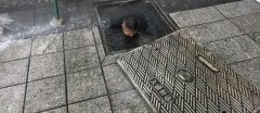 万州一消防栓突爆如喷泉 师傅潜入水中抢险
