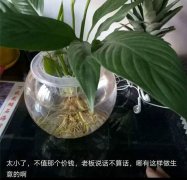 重庆女子网购给差评遭威胁：把你家孩子看好！