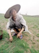 男子种草坪年入四五万