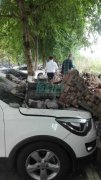 重庆一围墙垮塌  砸坏多辆小车
