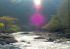 重庆石柱一老人采竹笋 进入深山一日未归