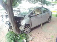 女司机图凉快穿拖鞋开车 鞋卡油门处误撞行道树