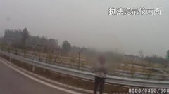 “熊孩子”上高速蹭wifi ：高速公路地势高信号强