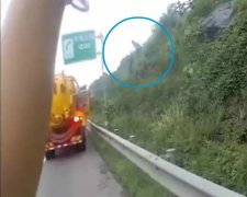 男子为讨媳妇欢心  高速路边采花