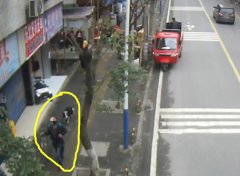 重庆两男子因盗窃宠物犬被起诉 花3500将狗赎回