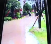 一场大雨 重庆一小区居民在家里开启“看海”模式