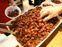  重庆美女获赠5000只龙虾  支付宝：能否吃完与我无关