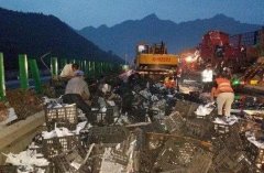 司机弯腰捡手机致货车追尾侧翻 上万斤葡萄散落高速