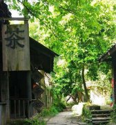 重庆现纯绿色小镇 让人看得透心凉