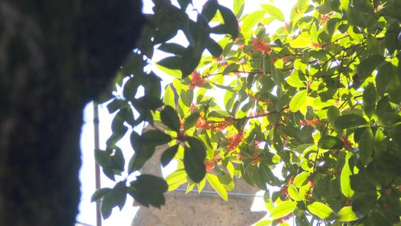 微信图片_20170913134453
