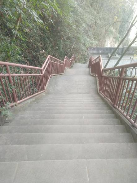 这张照片展现便是潘阿姨扫过的路段,确实很干净,没有遗漏一片落叶和垃圾,让人不忍心踩上去。除了清扫步道,她还要扫大街,但繁重的工作并没有成为她的困扰,当被问及扫地累不累的时候,她说:“不累,锻炼身体挺好的。”