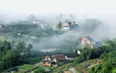 大岭云雾画美景 宛若仙境不思蜀